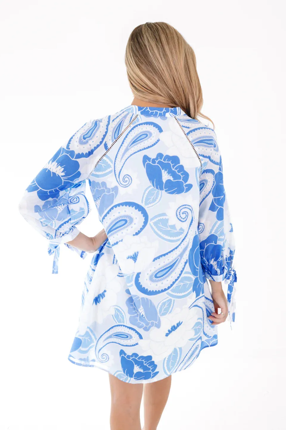 Delaney Tie Sleeve Dress - Blue/White